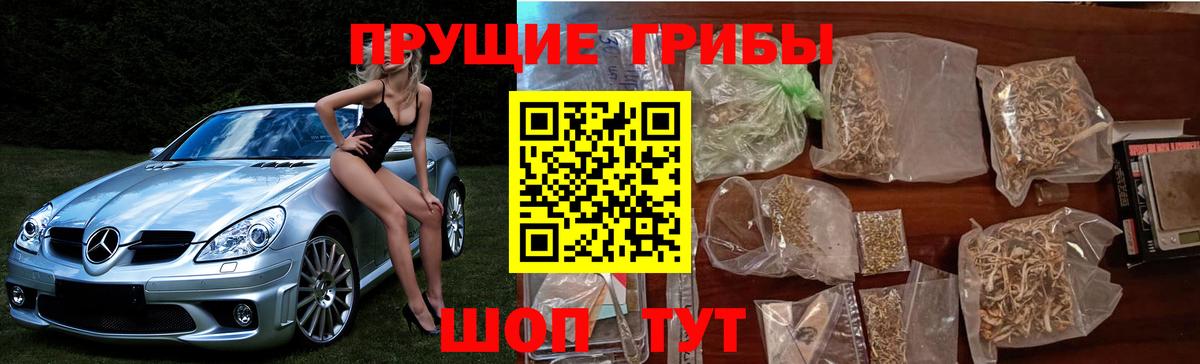 Галлюциногенные грибы мухоморы  наркотики  Галлюциногенные грибы мухоморы  Рославль  Вход с VPN 