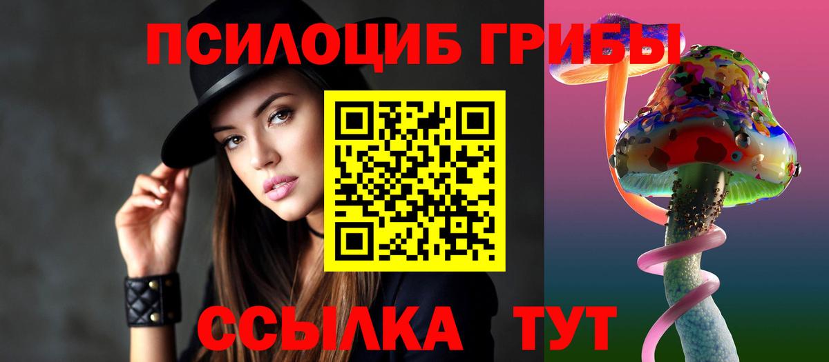 Псилоцибиновые грибы Cubensis Рославль